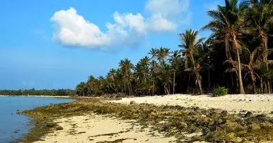 ജനജീവിതം ദുരിതത്തില്‍, ലക്ഷദ്വീപുകാര്‍ക്കു ഭക്ഷ്യക്കിറ്റ് നല്‍കണം; അഡ്മിനിസ്‌ട്രേഷനു നിര്‍ദേശം നല്‍കണമെന്നു ഹൈക്കോടതിയില്‍ ഹരജി