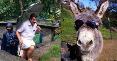 ‘തന്തയ്ക്ക് വിളിച്ചൂന്ന് പറഞ്ഞ് വൈറലാകാനല്ലേ, അങ്ങനിപ്പം വേണ്ട’; മൂരിയെന്ന് വിളിച്ചയാള്‍ക്ക് മറുപടി നല്‍കി പി.വി. അന്‍വര്‍ എം.എല്‍.എ.