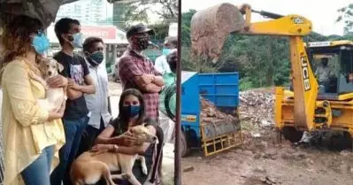 തൃക്കാക്കരയിലെ നായകളുടെ കൂട്ടക്കൊല; പ്രതിഷേധവുമായി രഞ്ജിനി ഹരിദാസ്
