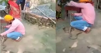 രക്ഷാബന്ധന്‍ ആഘോഷം; പാമ്പിന് രാഖി കെട്ടിക്കൊടുത്ത യുവാവ് പാമ്പ് കടിയേറ്റ് മരിച്ചു- വീഡിയോ
