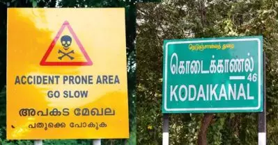 കൊടൈക്കനാലില്‍ മലയാളികള്‍ സഞ്ചരിച്ച വാന്‍ 100 അടി താഴ്ചയിലേക്ക് മറിഞ്ഞു; ഡ്രൈവറടക്കും 17 വിദ്യാര്‍ത്ഥികള്‍ക്ക് പരിക്ക്
