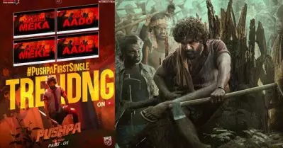 റെക്കോര്‍ഡുകള്‍ തകര്‍ത്ത് അല്ലു അര്‍ജുന്റെ ‘ഓട് ഓട് ആടെ’; ഇരുപത്തിനാല് മണിക്കൂറിനിടെ 18.3 മില്ല്യണ്‍ കാഴ്ച്ചക്കാര്‍