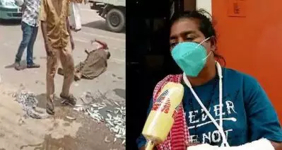 ഞാന്‍ പരിക്കേറ്റ് വീട്ടിലിരിക്കുമ്പോഴാണ് അവര്‍ ജോലിയ്ക്ക് കയറി ശമ്പളം വാങ്ങുന്നത്; മീന്‍കൊട്ട തട്ടിത്തെറിപ്പിച്ച ജീവനക്കാരെ തിരികെയെടുക്കുന്നതിനെതിരെ മത്സ്യതൊഴിലാളി അല്‍ഫോന്‍സ