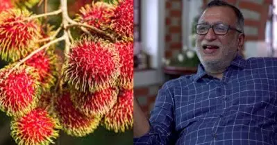 മാര്‍ക്കറ്റില്‍ നിന്ന് വാങ്ങി കഴിക്കുന്ന റമ്പൂട്ടാന്‍ പഴങ്ങളിലൂടെ നിപ പകരില്ല: കെ.പി. അരവിന്ദന്‍