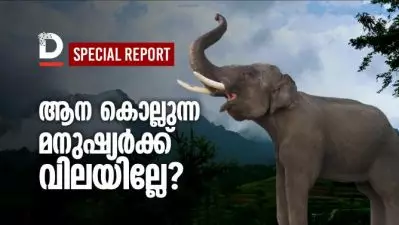 ആന കൊല്ലുന്ന മനുഷ്യര്‍ക്ക് വിലയില്ലേ | Special Report