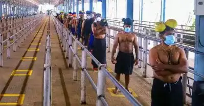 മണ്ഡല മകരവിളക്ക്; ശബരിമലയില്‍ 25,000 പേര്‍ക്ക് ദര്‍ശനാനുമതി