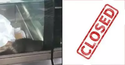 കോഴിക്കോട് ബേക്കറിയിലെ പലഹാരം സൂക്ഷിച്ച ചില്ലുകൂട്ടില്‍ ജീവനുള്ള എലി; ബേക്കറി പൂട്ടിച്ച് ഭക്ഷ്യ സുരക്ഷാ വകുപ്പ്