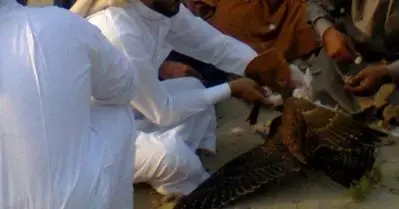 അറബ് പ്രമുഖര്‍ പാകിസ്ഥാനിലെ ഹൗബാറ ബസ്റ്റാര്‍ഡുകളെ വേട്ടയാടുന്ന ദൃശ്യം; മാധ്യമപ്രവര്‍ത്തകന്‍ കൊല്ലപ്പെട്ട സംഭവത്തില്‍ അന്വേഷണം ആവശ്യപ്പെട്ട് അന്താരാഷ്ട്ര മീഡിയ വാച്ച്‌ഡോഗ്