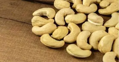 കാപെക്സില്‍ വന്‍ അഴിമതി; സാമ്പത്തിക പരിശോധനാ വിഭാഗം ക്രമക്കേട് കണ്ടെത്തി; എം.ഡിക്കെതിരെ വിജിലന്‍സ് അന്വേഷണത്തിന് ശുപാര്‍ശ