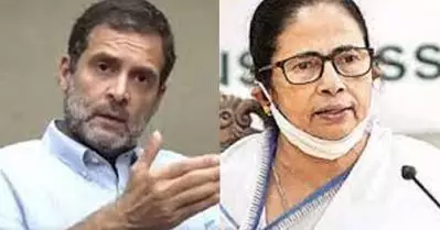 പകുതി സമയും വിദേശത്തുപോയിരുന്നാല്‍ ഇന്ത്യന്‍ രാഷ്ട്രീയത്തില്‍ പ്രവര്‍ത്തിക്കാന്‍ പറ്റില്ല; രാഹുലിനെ കടന്നാക്രമിച്ച് മമത ബാനര്‍ജി