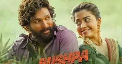 അല്ലുവില്‍ നിന്ന് മല്ലുവിലേക്കും അമുലുവിലേക്കും; പുഷ്പയുടെ വിജയം ആഘോഷിച്ച് അമുല്‍