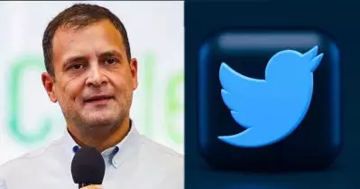 ‘ഫോളോവേഴ്‌സിന്റെ എണ്ണം കുറഞ്ഞതില്‍ ഞങ്ങളെ പഴി ചാരണ്ട’; രാഹുല്‍ ഗാന്ധിക്ക് മറുപടിയുമായി ട്വിറ്റര്‍