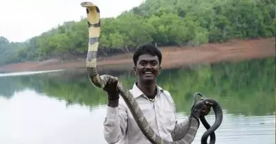 വാവ സുരേഷ് പാമ്പുപിടുത്തത്തിനിടെ മുമ്പും അപകടത്തില്‍പ്പെട്ടു; രീതി അശാസ്ത്രീയമെന്ന് വിമര്‍ശനം
