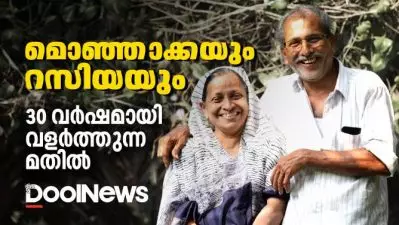മൊഞ്ഞാക്കയും റസിയയും 30 വര്‍ഷമായി വളര്‍ത്തുന്ന മതില് #moneyplant #fence #kozhikkode