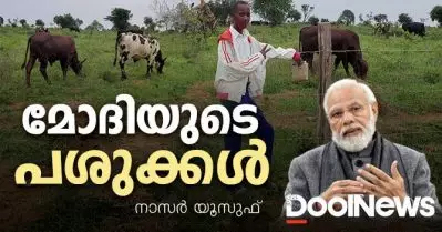 മോദിയുടെ പശുക്കള്‍