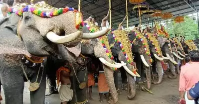 ആന എഴുന്നള്ളിപ്പിന് കർശന നിയന്ത്രണം; നിർദേശങ്ങളുമായി അമിക്കസ് ക്യൂറി