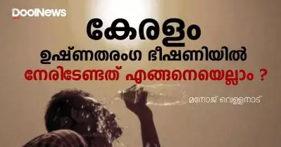 കേരളം ഉഷ്ണതരംഗ ഭീഷണിയില്‍; നേരിടേണ്ടത് എങ്ങനെയെല്ലാം?