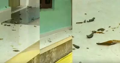 ശ്രീനിവാസന്‍ വധക്കേസ് പ്രതി ഫിറോസിന്റെ വീടിന് നേരെ പെട്രോള്‍ കുപ്പിയെറിഞ്ഞ് ആക്രമണം; വീടിന് പൊലീസ് സുരക്ഷ