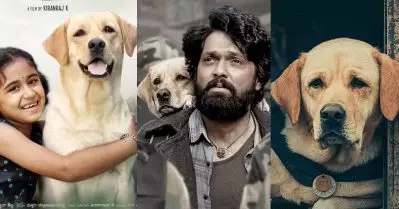 ഇവിടെ നവരസങ്ങളെല്ലാം ഒക്കെയാ; രക്ഷിത് ഷെട്ടിയെ സൈഡാക്കി ഷോ അടിച്ചുമാറ്റിയ നായ