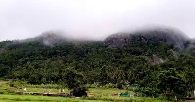 ബഫര്‍ സോണില്‍ സര്‍ക്കാരിന്റെ തിരുത്ത്: ജനവാസകേന്ദ്രങ്ങളെ ഒഴിവാക്കും