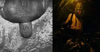 മോസ്‌കോ ഇന്റര്‍നാഷണല്‍ ഫിലിം ഫെസ്റ്റിവലിലേക്ക് ഒഫീഷ്യല്‍ സെലക്ഷന്‍; വേള്‍ഡ് പ്രീമിയറിന് ഒരുങ്ങി പുല്ല്