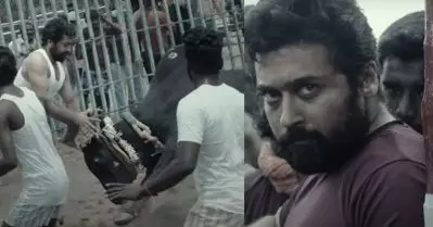 ഇത് ജെല്ലികെട്ടിന്റെ ദൃശ്യാവിഷ്‌കാരം; വാടിവാസല്‍ ടെസ്റ്റ് ഷൂട്ട് ടീസര്‍ പുറത്ത്