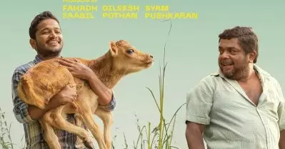 ഫഹദ് വിക്രത്തിന് പോയ ഗ്യാപ്പില്‍ ബേസില്‍ കേറി പറ്റിയതാ, പുള്ളി തിരിച്ചുവന്നപ്പോള്‍ പാല്‍തു ജാന്‍വര്‍ കഴിയുകയും ചെയ്തു: ജോണി ആന്റണി