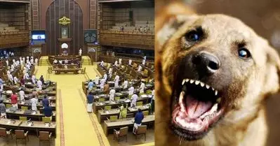 ‘ലോകായുക്തയുടെ അല്ല പട്ടിയുടെ പല്ലാണ് സര്‍ക്കാര്‍ പറിക്കേണ്ടത്’; തെരുവുനായശല്യം നിയമസഭയില്‍ ചര്‍ച്ച