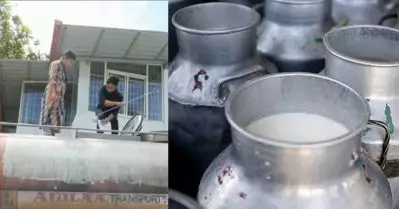 ഓണക്കാല പരിശോധന; കേരള- തമിഴ്‌നാട് അതിര്‍ത്തിയില്‍ നിന്ന് യൂറിയ കലര്‍ത്തിയ 12,750 ലിറ്റര്‍ പാല്‍ പിടികൂടി