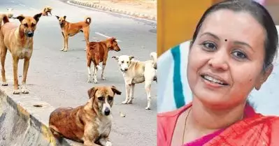 തെരുവ് നായകളുടെ വന്ധ്യംകരണം വ്യാപകമായി നടപ്പാക്കും: വീണ ജോര്‍ജ്