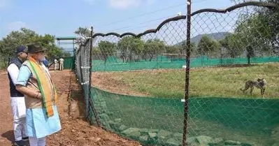 പ്രധാനമന്ത്രിയുടെ ചീറ്റകള്‍ക്ക് പേരിടാനുള്ള മത്സരം; ലഭിച്ചത് 750ല്‍ പരം പേരുകള്‍
