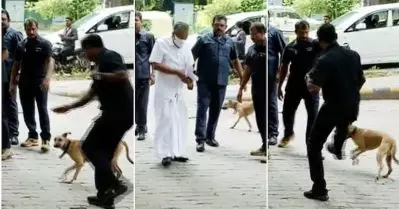 മുഖ്യമന്ത്രിയുടെ അടുത്തെത്തിയ തെരുവ് നായയെ ആട്ടിയോടിച്ച് സുരക്ഷാ ഉദ്യോഗസ്ഥര്‍; ദൃശ്യങ്ങള്‍ പുറത്ത്