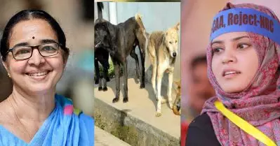 എനിക്ക് അവരുമായി സമാധാനത്തില്‍ ജീവിക്കണമെന്നുണ്ട്, പക്ഷേ അവര്‍ക്ക് മനസിലാകുന്നില്ല, മേയറൊന്ന് ഉപദേശിക്കണം: തെരുവ് നായ വിഷയത്തില്‍ ബീന ഫിലിപ്പിനെ പരിഹസിച്ച് ഫാത്തിമ തഹിലിയ