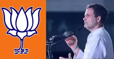 ബി.ജെ.പി വെറുപ്പ് കൊണ്ട് പരിഭ്രാന്തരാകുന്നു; ഹിന്ദുത്വവാദികളായ അവര്‍ അശാന്തി സൃഷ്ടിക്കുന്നു: രാഹുല്‍ ഗാന്ധി