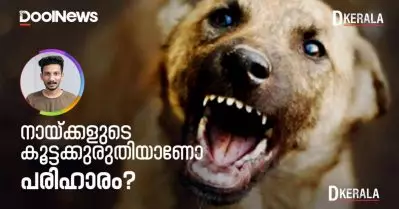 തെരുവു നായ്ക്കളുടെ കൂട്ടക്കുരുതിയാണോ പരിഹാരം?