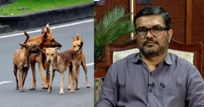 പട്ടിയെ കൊല്ലുന്നവരെ നിയമപരമായി നേരിടും, കൊല്ലുന്നതല്ല പരിഹാരം: എം.ബി. രാജേഷ്