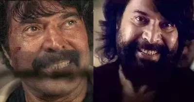ചെകുത്താന്റെ ചിരി; മമ്മൂട്ടിയെന്ന പെര്‍ഫോമറും സ്റ്റാറും അഴിഞ്ഞാടിയ ലൂക്കും മൈക്കിളപ്പനും