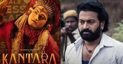 തമാശയല്ല, ക്രൂരതയാണ് അത്; കാന്താരയെ വിമര്‍ശിക്കരുതെന്ന് ഇനി പറയരുത്; സോഷ്യല്‍ മീഡിയ പറയുന്നു