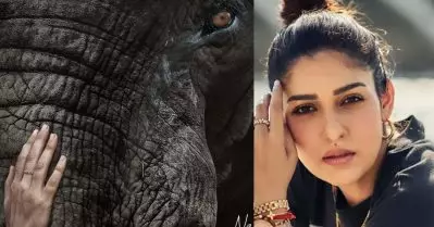 എന്‍.ടി. 81; നയന്‍താരക്ക് വിഘ്‌നേഷിന്റെ പിറന്നാള്‍ സമ്മാനം