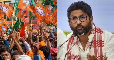 എന്റെ കണക്കുകൂട്ടലുകള്‍ തെറ്റി; ഇലക്ടറല്‍ പൊളിറ്റിക്സിന്റെ ഗ്രാമര്‍ കോണ്‍ഗ്രസിനേക്കാള്‍ ബി.ജെ.പിക്കറിയാം: ജിഗ്നേഷ് മേവാനി