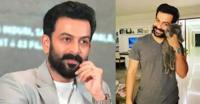 മോനേ പൃഥ്വിരാജിനെ ഇന്റര്‍വ്യൂ ചെയ്യുമ്പോള്‍ സൂക്ഷിച്ചോ, മുഖത്ത് പൂച്ചയെ പിടിച്ചിടും, എന്ന് പുള്ളി പറഞ്ഞു; അതിന്റെ വികാരമെന്താണെന്ന് ഇപ്പോഴും മനസിലായിട്ടില്ല