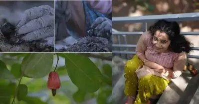 കശുമാങ്ങ മുതല്‍ സെറ്റപ് ബോക്‌സ് വരെ, ജയഹേയിലെ ബ്രില്യന്‍സ് ചികഞ്ഞ് സോഷ്യല്‍ മീഡിയ