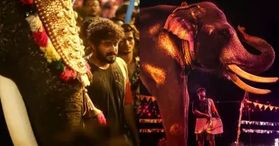 ആന ഞാന്‍ പറയുന്നത് കേള്‍ക്കാന്‍ തുടങ്ങി, പാപ്പാന് നാണക്കേടും കലിപ്പും ഇളകി: ആന്റണി വര്‍ഗീസ്