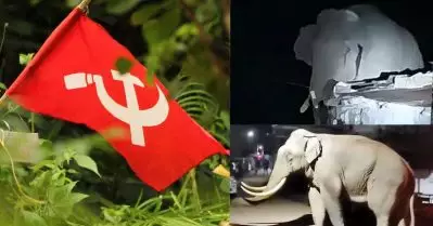 ‘ഉദ്യോഗസ്ഥര്‍ ആനക്ക് ഓമനപ്പേരിട്ട് ആനന്ദം കൊള്ളുന്നു’; വനം വകുപ്പിനെതിരെ സി.പി.ഐ.എം