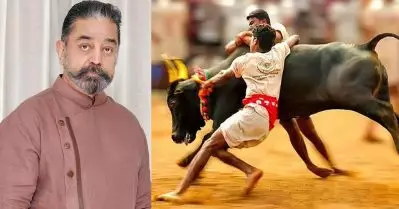 ജല്ലിക്കെട്ട് ചെന്നൈയിലും നടത്തും; പ്രഖ്യാപനവുമായി കമല്‍ ഹാസന്‍