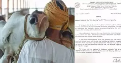 ‘പ്രണയം പശുവിനോട് മാത്രം’; പ്രണയദിനത്തില്‍ പശുവിനെ ആലിംഗനം ചെയ്ത് ആഘോഷിക്കൂ എന്ന് കേന്ദ്രം