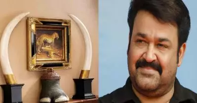 ആനക്കൊമ്പ് കേസ്; ഹരജി പരിഗണിക്കാൻ മജിസ്ട്രേറ്റ് കോടതിയോട് നിർദേശിച്ച് ഹൈക്കോടതി