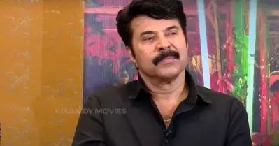 അത്തരം ചോദ്യങ്ങൾ വേദനിപ്പിക്കാറുണ്ട്, മറിച്ച് പറഞ്ഞാൽ ഞാനൊരു കള്ളനായിപ്പോകും : മമ്മൂട്ടി
