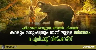ഫിക്ഷനെ വെല്ലുന്ന നോൺ ഫിക്ഷൻ, കാടും മനുഷ്യരും തമ്മിലുള്ള മർമ്മരം; ദ എലിഫന്റ് വിസ്പറേഴ്സ്