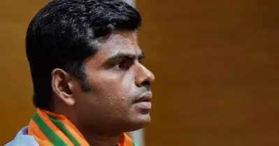 ബി.ജെ.പി തമിഴ്‌നാട്‌ അധ്യക്ഷന്‍ അണ്ണാമലൈക്കെതിരെ 500 കോടി രൂപ നഷ്ടപരിഹാരം ആവശ്യപ്പെട്ട് ഡി.എം.കെ